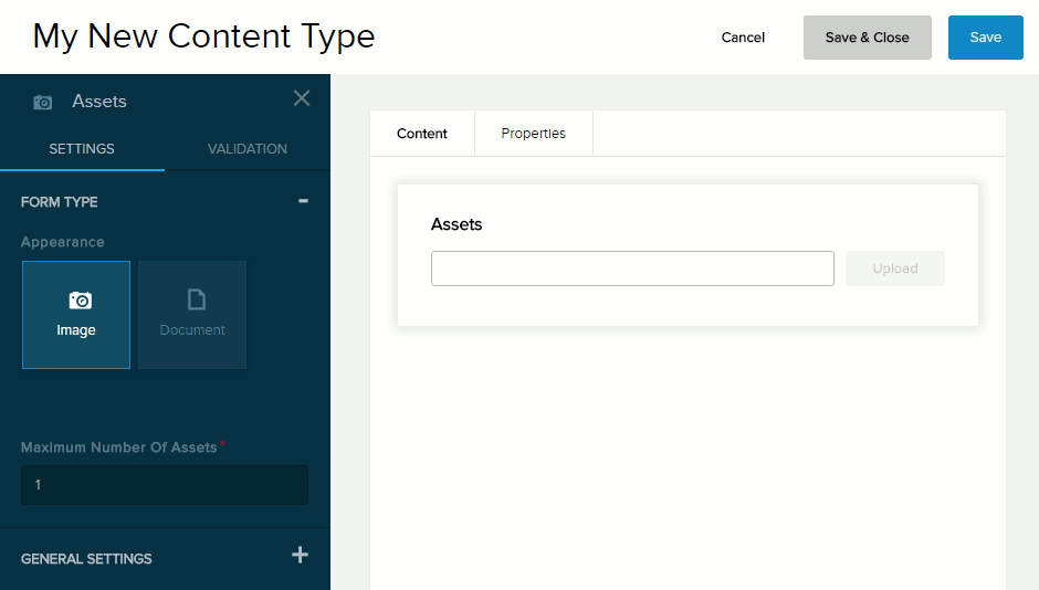 Form Type for Assets field